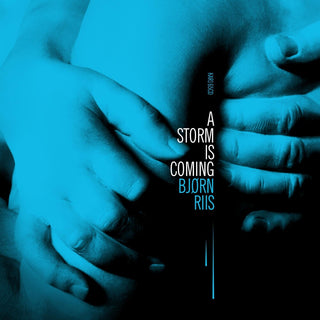 the album cover for Bjørn Riis - Storm Is Coming