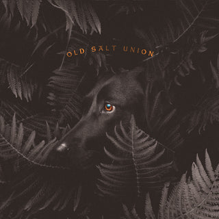 the album cover for Old Salt Union - Where The Dogs Don't Bite
