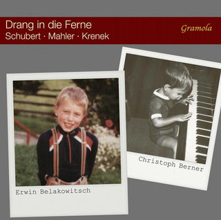 the album cover for Beethoven / Irnberger / Judd - Violin Concerto / Triple Concerto / Romances