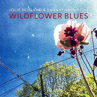the album cover for Jolie Holland - Wildflower Blues