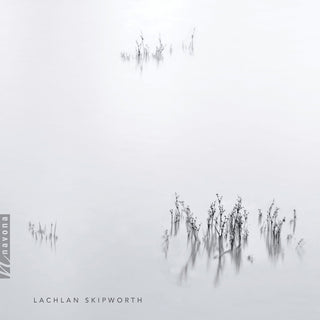 the album cover for Skipworth - Clarinet Quintet / Piano Trio