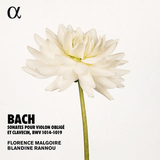 the album cover for J Bach S / Rannou / Malgoire - Sonates Violon Oblige