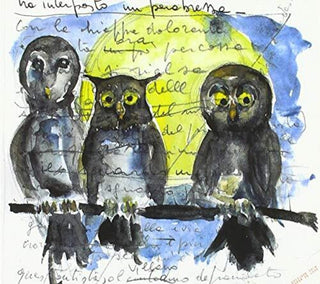 the album cover for Barbagiannas / Alessandro Ducoli - Gufi Allocchi Barbagianne E Altre Giovani Streghe