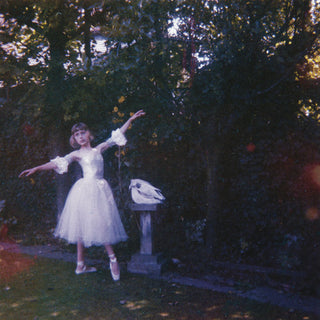 the album cover for Wolf Alice - Visions Of A Life