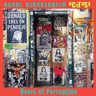 the album cover for Raoul Bjorkenheim & Ecstasy - Doors Of Perception
