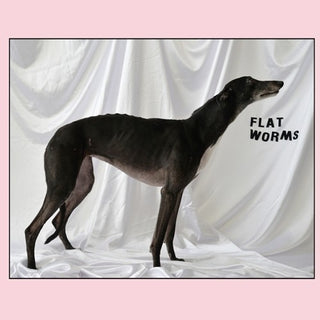 the album cover for Flat Worms - Flat Worms