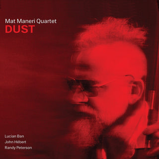 the album cover for Mat Maneri - Dust