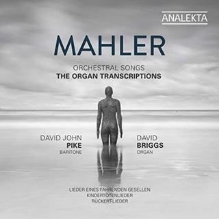 the album cover for Mahler / Pike / Briggs - Orchestral Songs