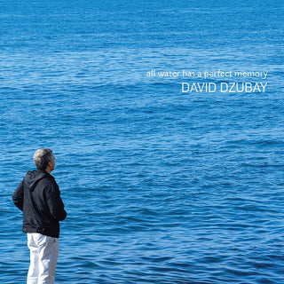 the album cover for Dzubay - All Water Has a Perfect Memory