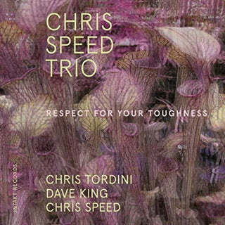 the album cover for Speed / Tordini / King - Respect for Your Toughness