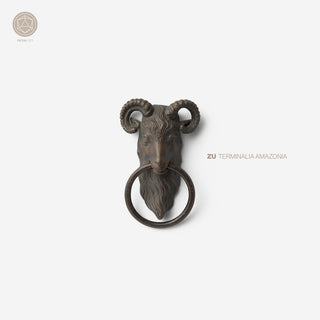 the album cover for Zu - Terminalia Amazonia