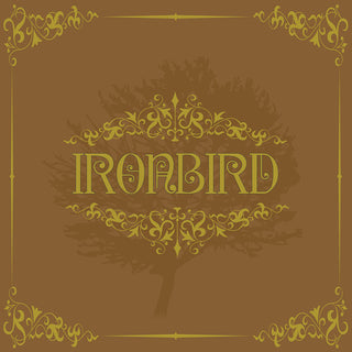 the album cover for Ironbird - Ironbird