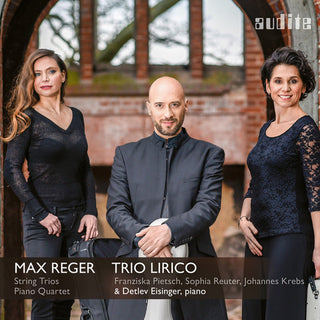 the album cover for Reger / Eisinger - Complete String Trios & Piano Quartet in a Minor