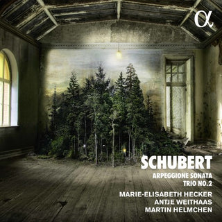 the album cover for Antje Weithaas - Piano Trio in E Flat & Arpeggione Sonata a Minor