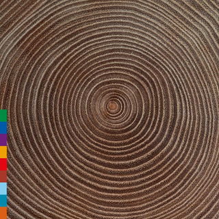 the album cover for Khan Amjad Ali - Moksha