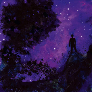 the album cover for Unreqvited - Mosaic Ii [Digipak]