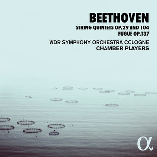 the album cover for Beethoven - String Quintets 29 & 104