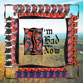 the album cover for Nap Eyes - I'm Bad Now [LP]