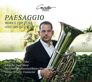 the album cover for Williams / Jung - Paesaggio