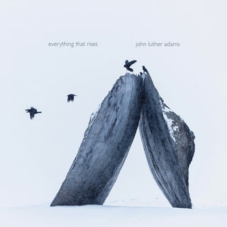 the album cover for JACK Quartet - Everything That Rises