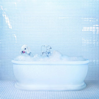 the album cover for Frankie Cosmos - Vessel