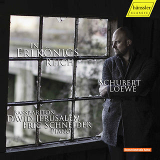 the album cover for David Jerusalem - In the Realm of the Erlking / Ballads of Schubert