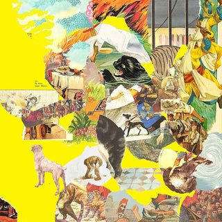 the album cover for The Homesick - Big Exercise