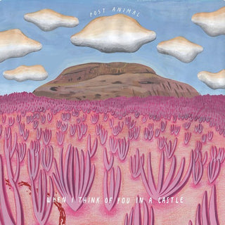 the album cover for Post Animal - When I Think Of You In A Castle