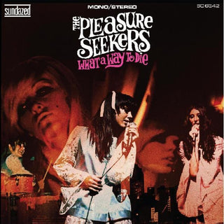 the album cover for Pleasure Seekers - What A Way To Die