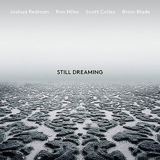 the album cover for Joshua Redman - Still Dreaming