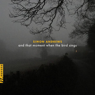 the album cover for Andrews / Maurer - & That Moment When the Bird Sings
