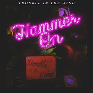 the album cover for Trouble in the Wind - Hammer On
