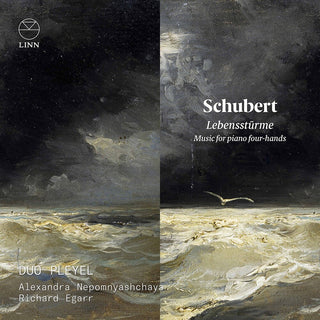 the album cover for Schubert / Duo Pleyel - Lebenssturme