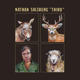 the album cover for Nathan Salsburg - Third