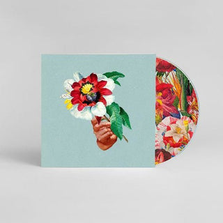 the album cover for Maribou State - Kingdoms In Colour