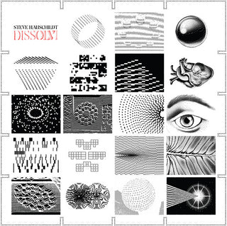 the album cover for Steve Hauschildt - Dissolvi