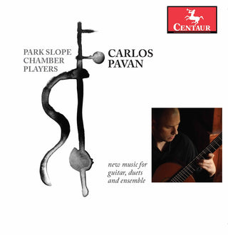 the album cover for Pavan / Park Slope Chamber Players - New Music