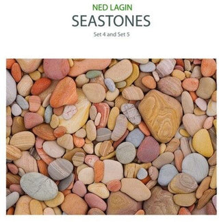 Ned Lagin- Seastones: Set 4 & Set 5