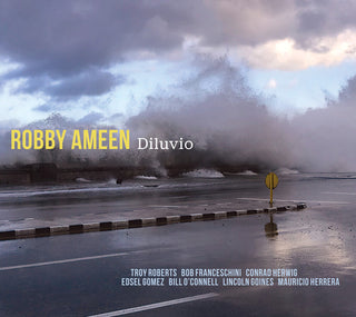 the album cover for Robby Ameen - Diluvio