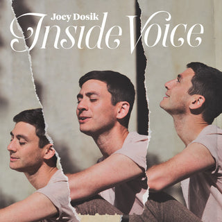 the album cover for Joey Dosik - Inside Voice [Stone White LP]