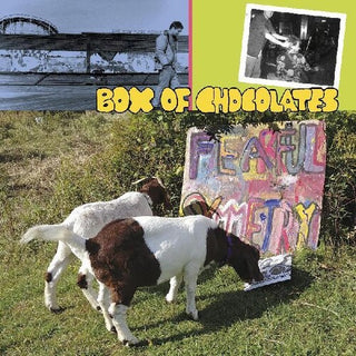 Box of Chocolates- Fearful Symmetry