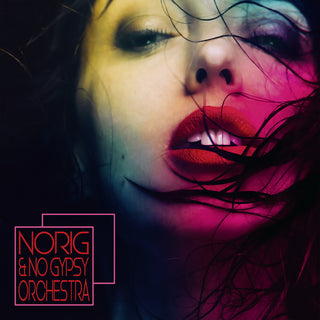 the album cover for Norig & No Gypsy Orchestra / Various - Norig & No Gypsy Orchestra