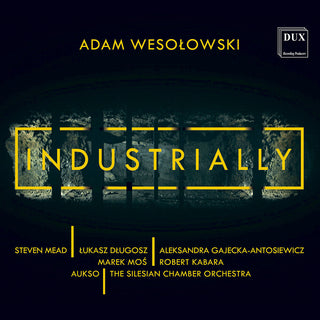 the album cover for Wesolowski - Industrially