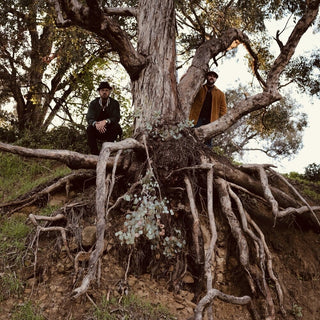 the album cover for Blu & Exile - Miles