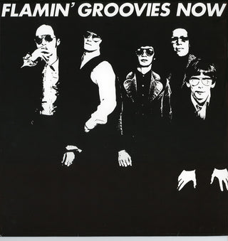the album cover for Flamin Groovies - Now