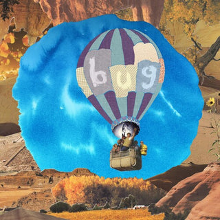 Pictures of Vernon- Bug