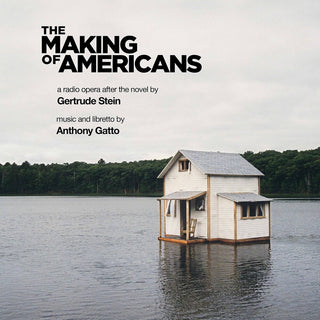 the album cover for Gatto - Making of Americans