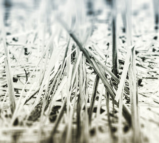 the album cover for Scanner - An Ascent