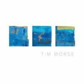 the album cover for Tim Morse - III