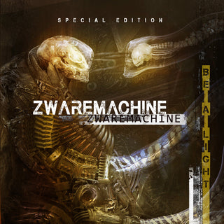 the album cover for Zwaremachine - Be A Light